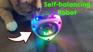 Open Source Self Balancing Triangle Robot 🟡 Gadgetify
