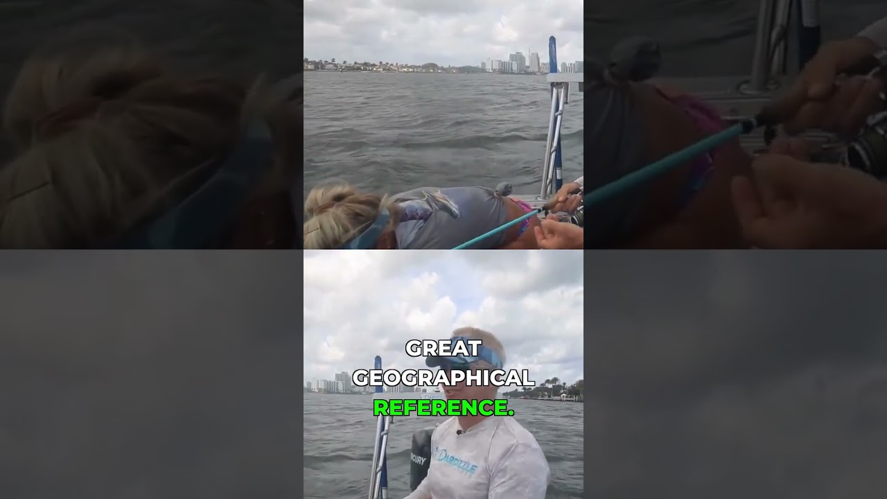 Uploads from Darcizzle Offshore
