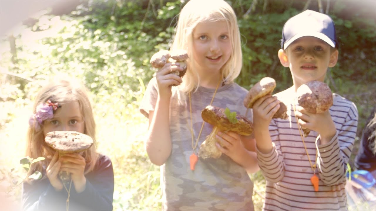 Finding the Spring Porcini and Family Mushroom Foray Spring King