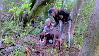 Mantrailing Fellis Od Bojtárov