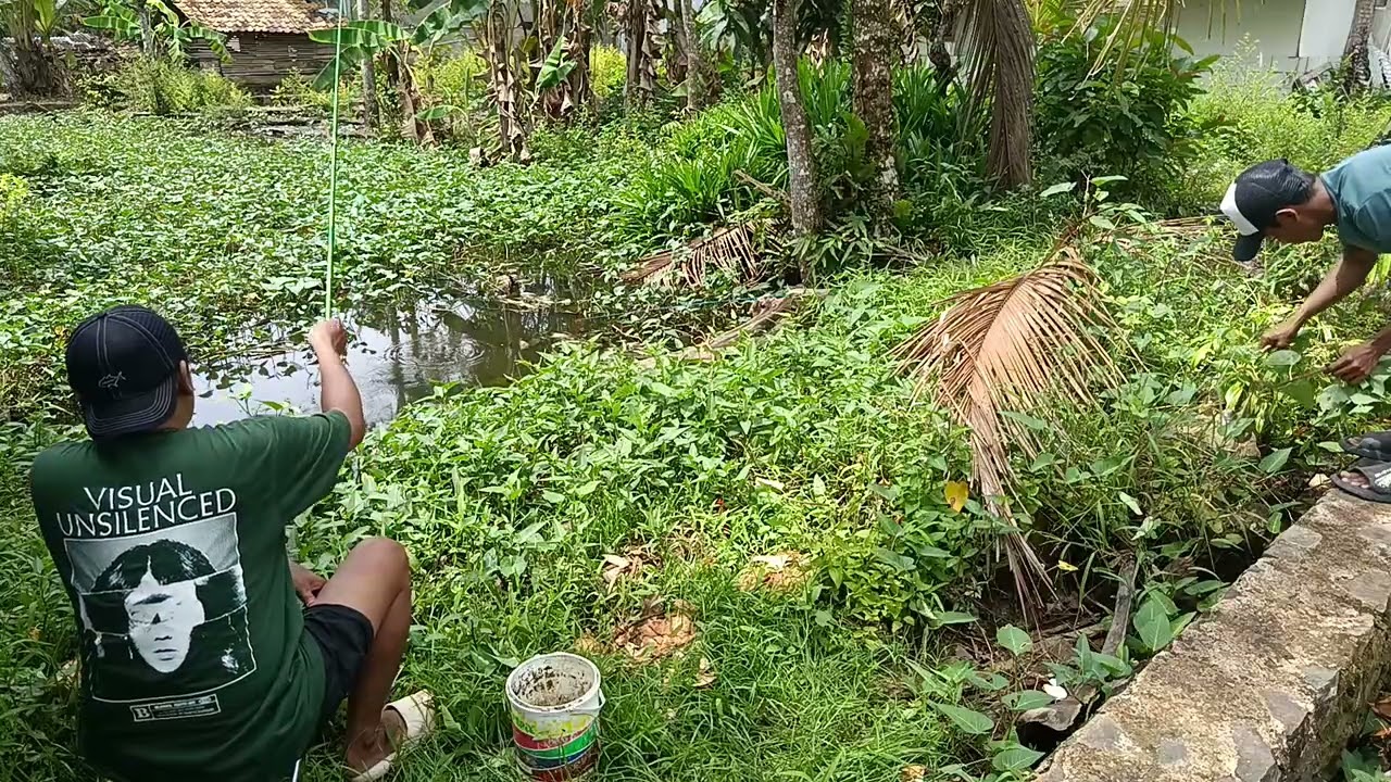 Mancing sebelum ramadhan di kolam kangkung sambil minum kelapa muda
