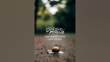 سورة النمل بصوت القارئ اسلام صبحي #قران_كريم #استرخاء 💚💆🏻♂️