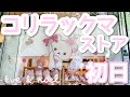 可愛いが過ぎるコリラックマストア初日に行ってきた