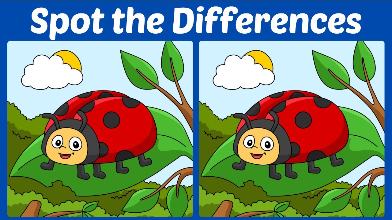 【Spot the difference】🔥Only genius can find all in 90seconds!! 【Find the differences】