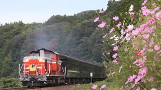 DD51】DLやまぐち号 秋季運行スタート！ 2023.10.7 - YouTube
