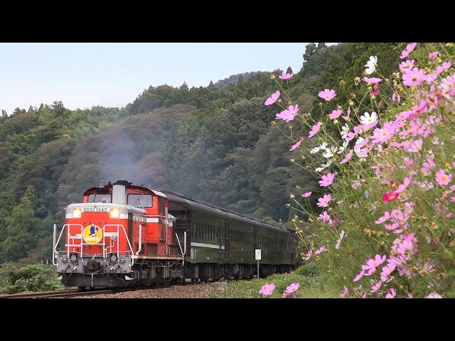 DD51】DLやまぐち号 秋季運行スタート！ 2023.10.7 - YouTube