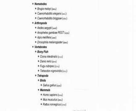 QueryHistory_ToxoDB_4.2.avi