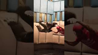 Las Vegas Indoor Skydiving