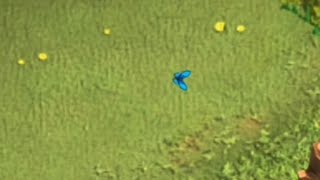 Clash of Clans Butterfly