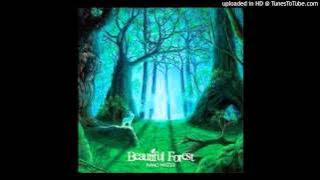 Piano Master - Bamboo