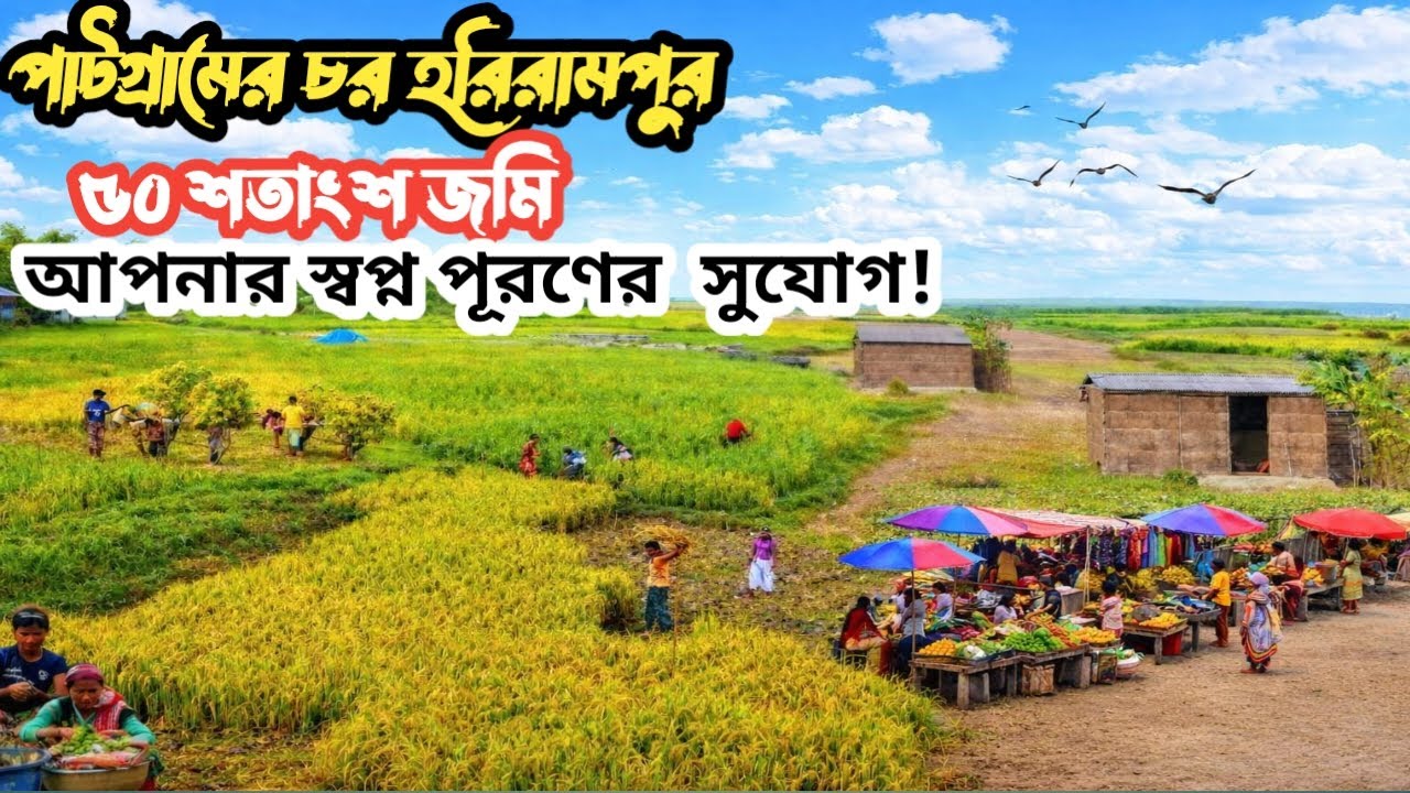 কম টাকায় বিশাল জমি! 🔥মাত্র ৩–৪ হাজার টাকায় বছরে ৫২ শতাংশ  | লোকেশন হরিরামপুর মানিকগঞ্জ 
