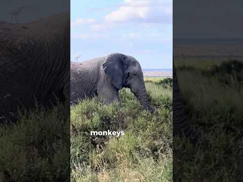 I spent the last 2 weeks in kenya recording some music!!