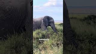 I Spent The Last 2 Weeks In Kenya Recording Some Music