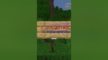 Custom text and item names in Minecraft Bedrock 🎨