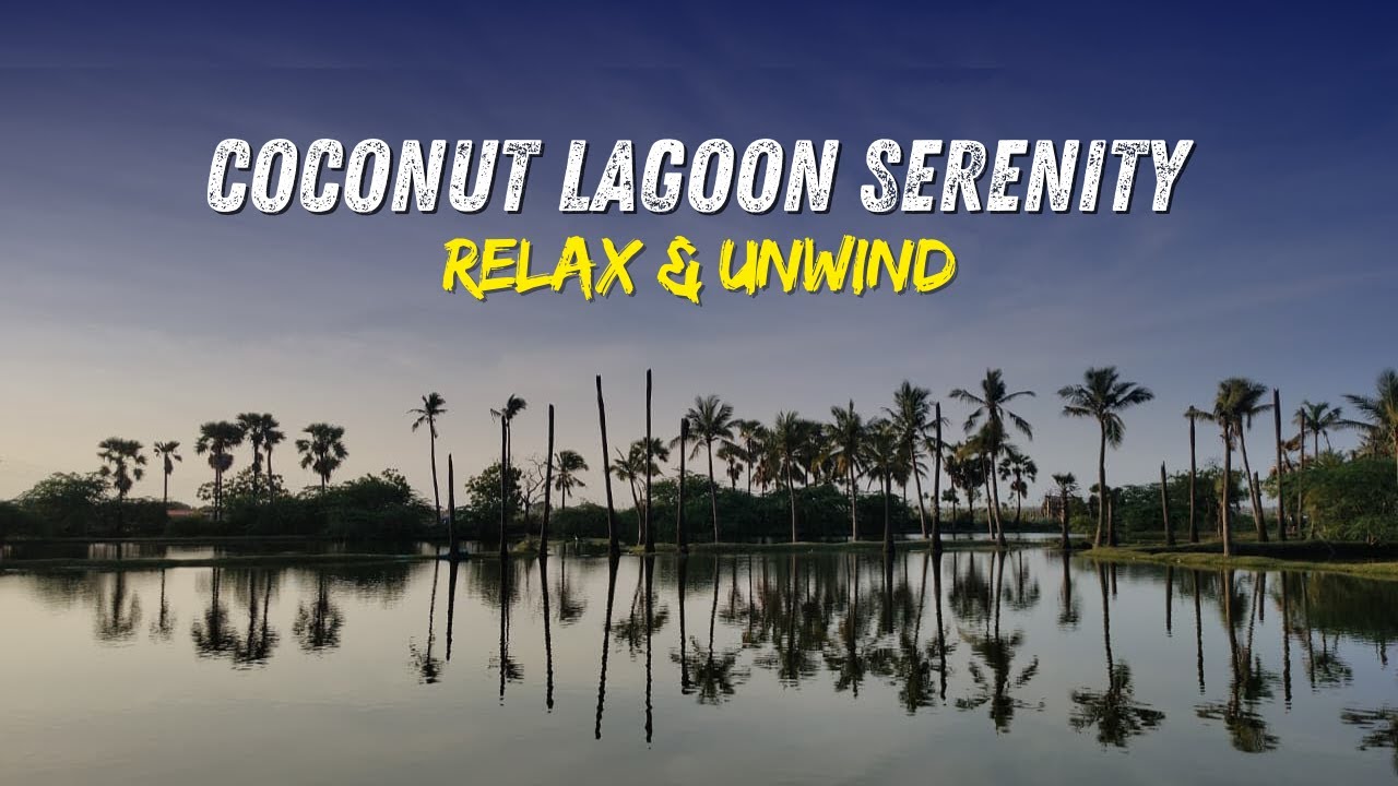 Coconut Lagoon Serenity 🌴 Peaceful Palm Tree Reflections for Deep Relaxation & Calm Mind 