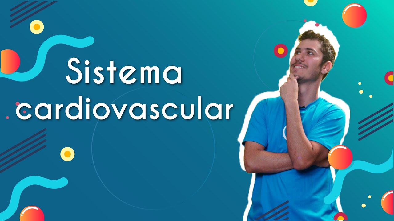 Sistema cardiovascular - Brasil Escola