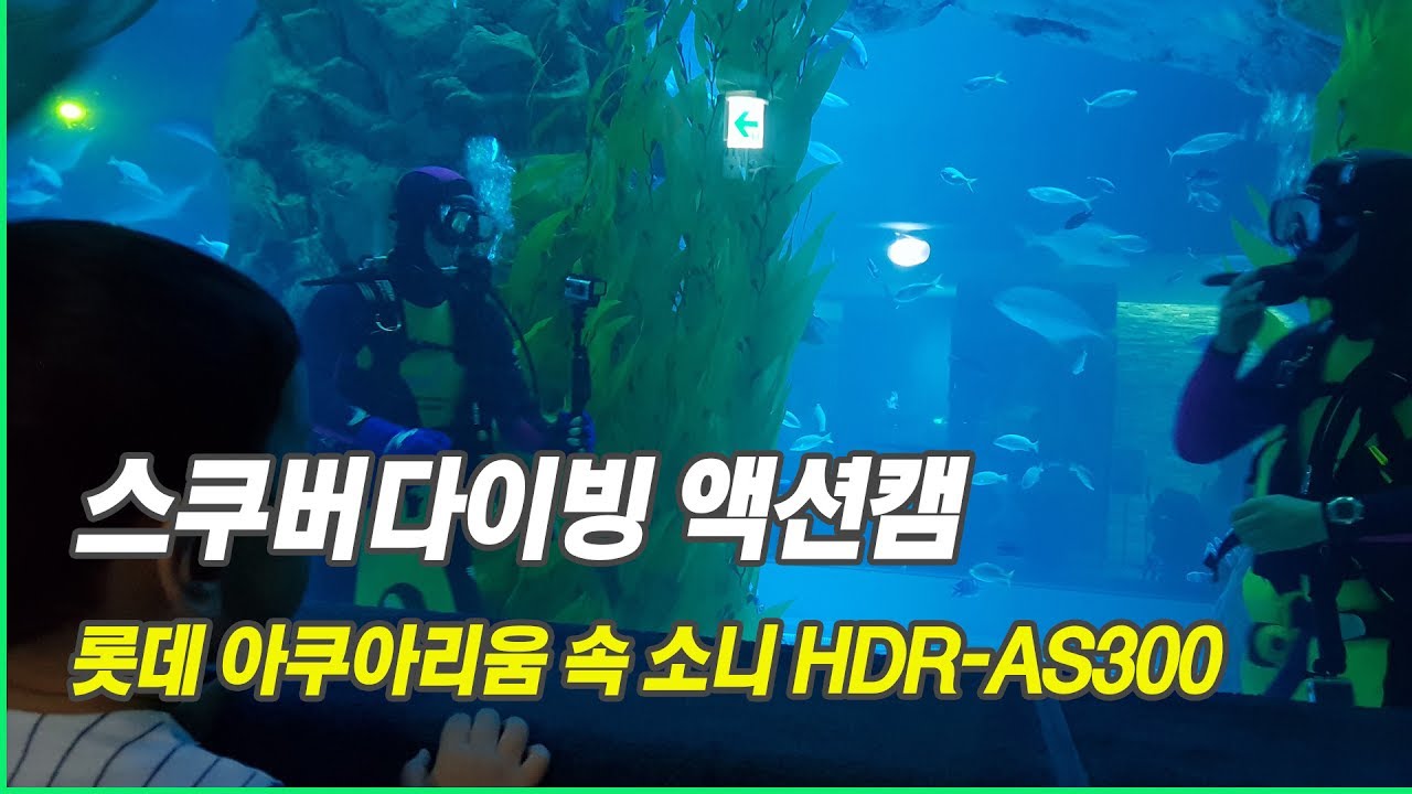 롯데 아쿠아리움 스쿠버다이빙 해보니, 심해느낌 으스스 (HDR AS300 촬영)