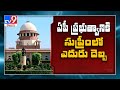 SC strikes down AP govt petition on party colours to govt buildings