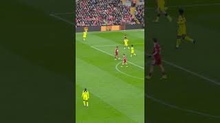 Fingertips from Vic 🕸️