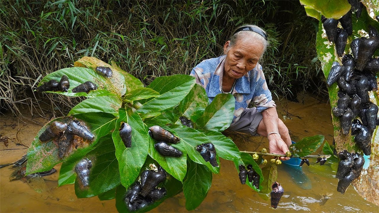 阿婆用葉子抓野生螺，多的惊人｜Grandma takes her granddaughter to catch wild snails ｜玉林阿婆