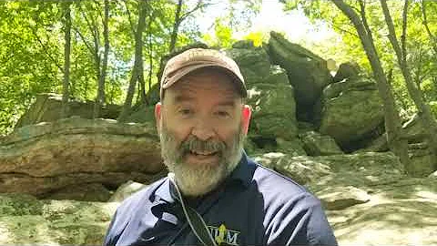 1st Amendment in the Workplace: John Dominy