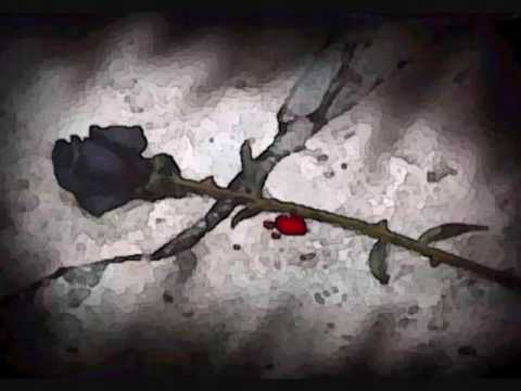 Watch the video for Petalos Negros