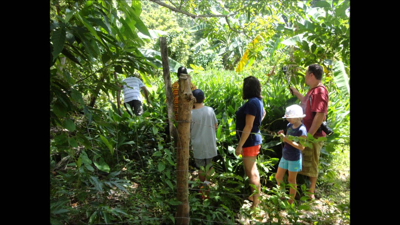 analysis of community based tourism Return to article details an analysis of sustainable livelihoods through community-based tourism in andaman coastal communities, thailand download . analysis of community based tourism Return to article details an analysis of sustainable livelihoods through community-based tourism in andaman coastal communities, thailand download .