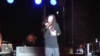 Korn - 2 - Hellfest 2013