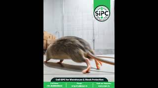 Pest control Services in India | Sequre India Pest Control SIPC.