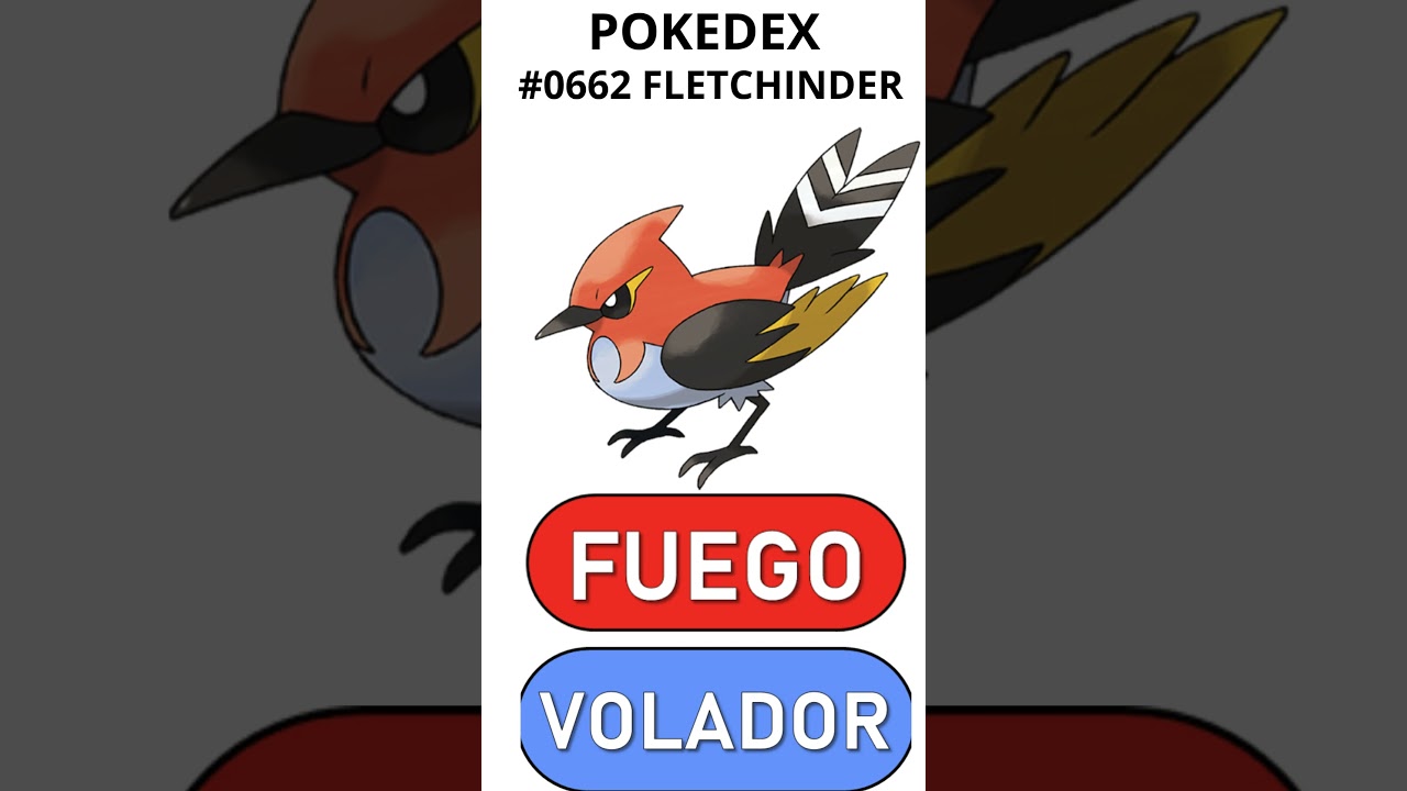 POKEDEX POKEMON 