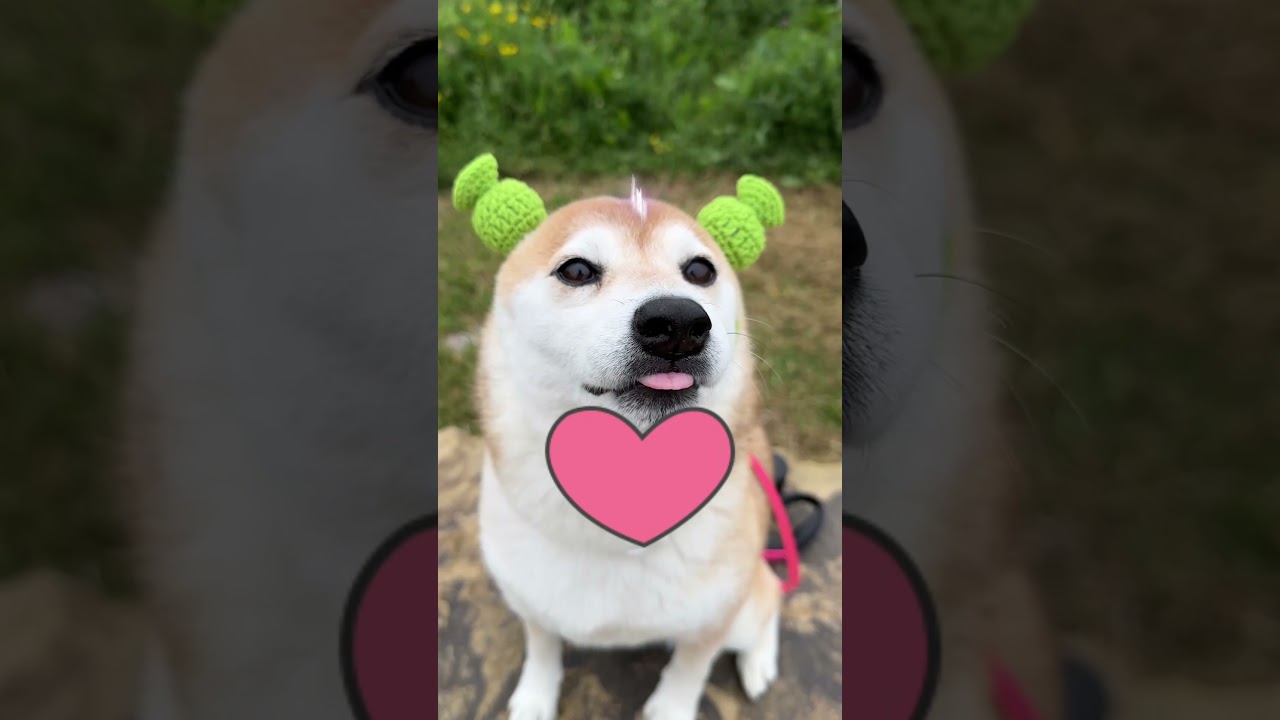 Top 5 Gubgub moments 🥰 (Top 10 goobie woobies)