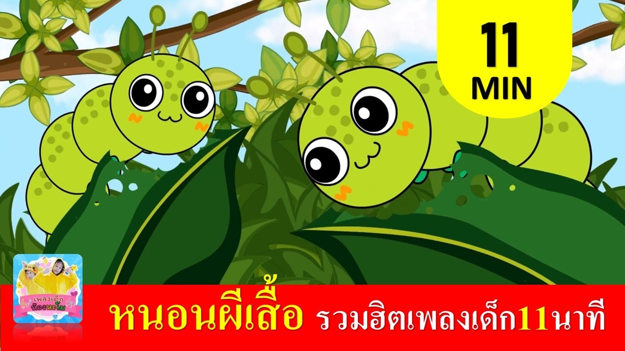 รวมฮิตหนอน 11 นาทีเต่าเป็ดไก่ตุ๊กแกม้า