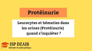 Leucocytes Et Hématies Dans Les Urines Protéinurie Quand Sinquiéter ?