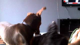 VID-20130516-00001