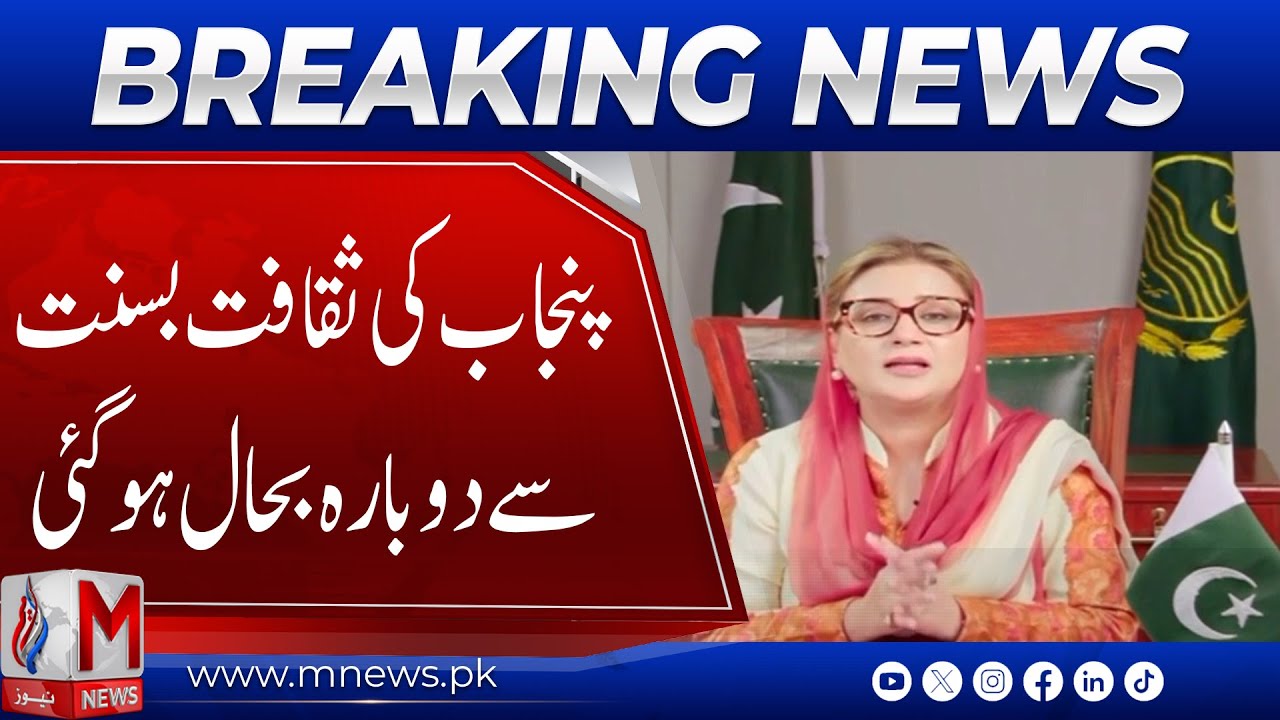 Punjab  Culture Revived as Basant Makes a Grand Comeback | M News