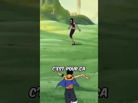 ROBIN EST LA SOEUR DE MONKEY D. LUFFY