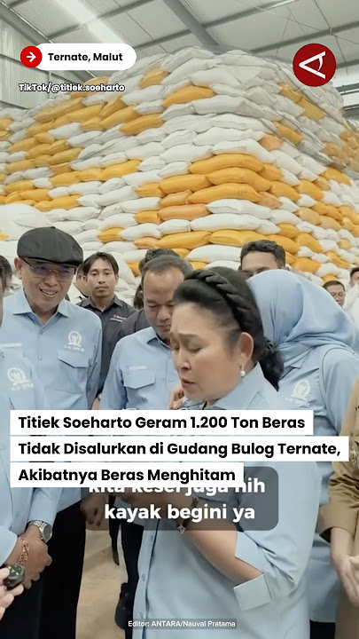 Download lagu Titiek Soeharto is furious that 1,200 tons of rice have turned black due to not being distributed...