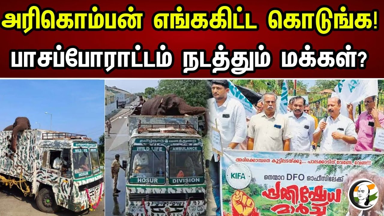 அரிகொம்பனை எங்ககிட்ட கொடுங்க! பாசபோரட்டம் நடத்தும் மக்கள்? | Bring back Arikomban! |