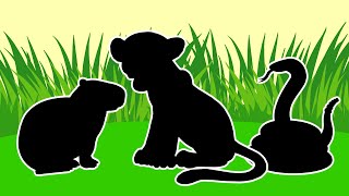 🐍🐆 Zabawa w chowanego - Zwierzęta dla dzieci - Bajki dla małych dzieci🦫🐱 screenshot 4