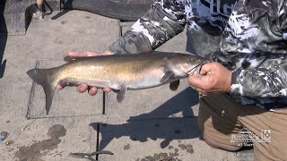 2Fish Guide Service