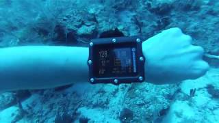 Oc Rec Limit W Brad Dive Tech