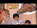 تحدي إلتقاط الفلوس والخيل فاتحه😍🐎