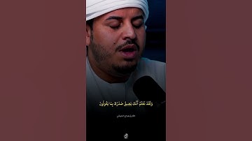 و لقد نعلم أنك يضيق صدرك بما يقولون - القارئ هزاع البلوشي || قناة الفردوس الأعلى