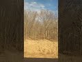 View From The Train: Feb 8th, 2024