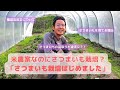 【種苗法改正】さつまいもの栽培が法律違反になるかもしれません