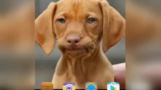 How to hack wifi (so simple) screenshot 4