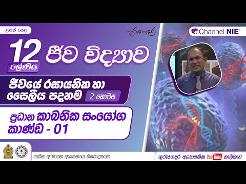 ජීවයේ රසායනික සහ සෛලීය පදනම 2 - (ප්‍රධාන කාබනික සංයෝග කාණ්ඩ 1)12 ශ්‍රේණිය (ජීව විද්‍යාව)