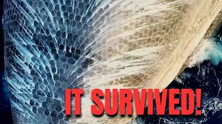 Starship Flight 13: Softest Splashdown Ever! Plus, Longest Raptor Relight