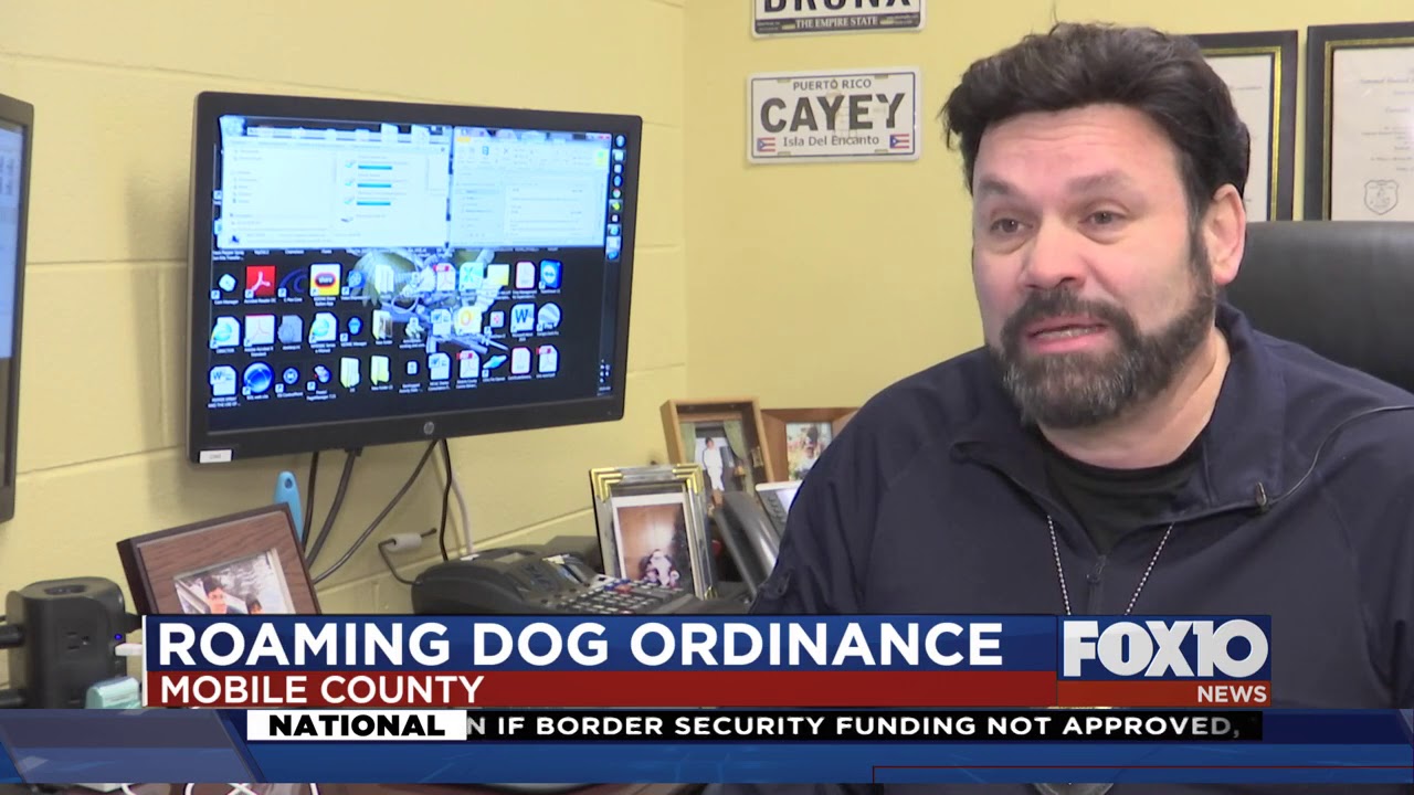 Roaming dog ordinance