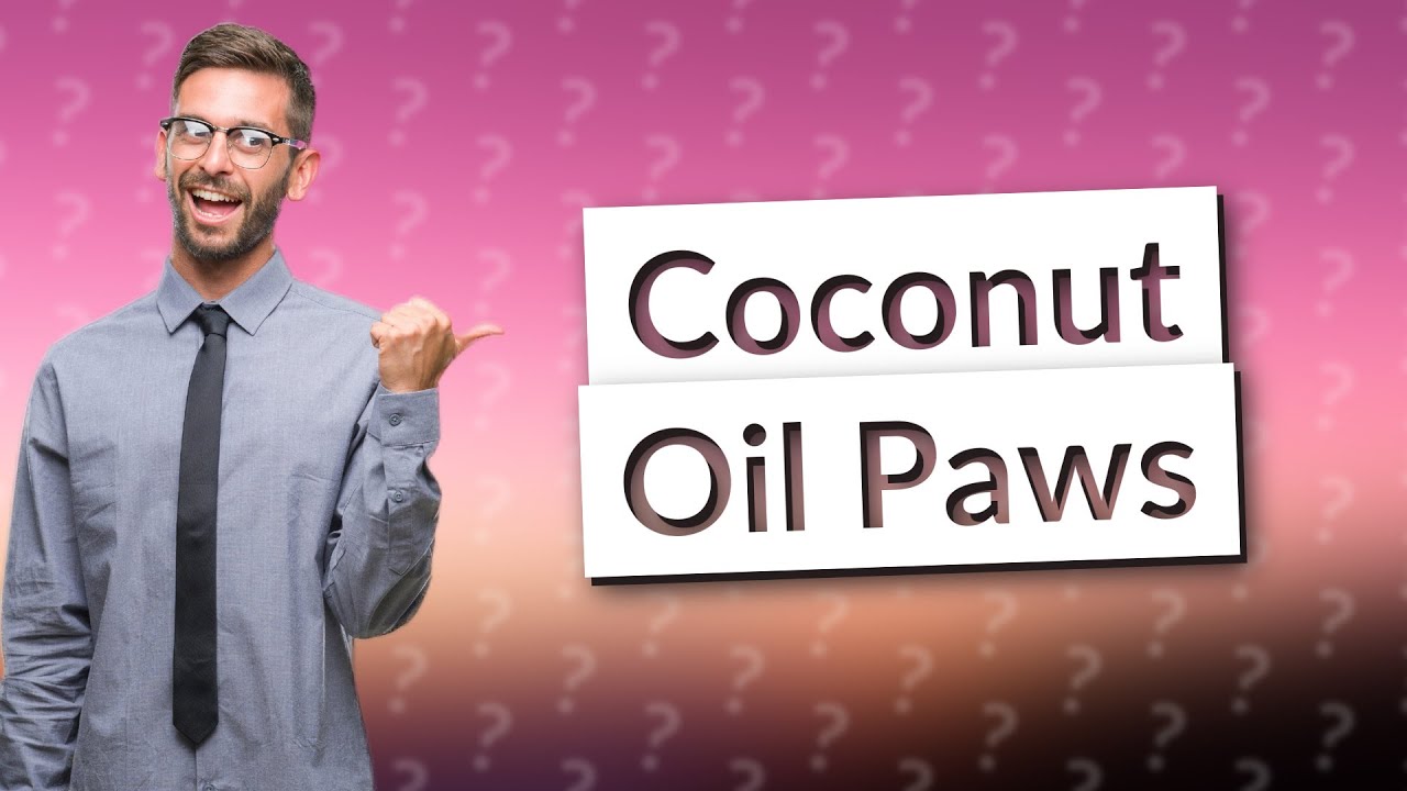 how-often-can-i-put-coconut-oil-on-my-dogs-paws-youtube